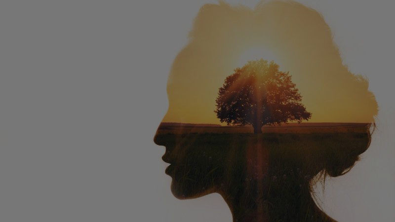 woman with a tree in her mind to represent personal development