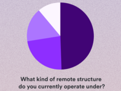 global payroll pie chart